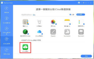 選擇iCloud 備份
