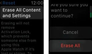 Apple Watch上的所有內容和設定